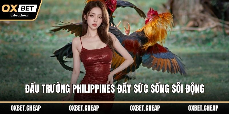 Đấu trường Philippines đầy sức sống sôi động 